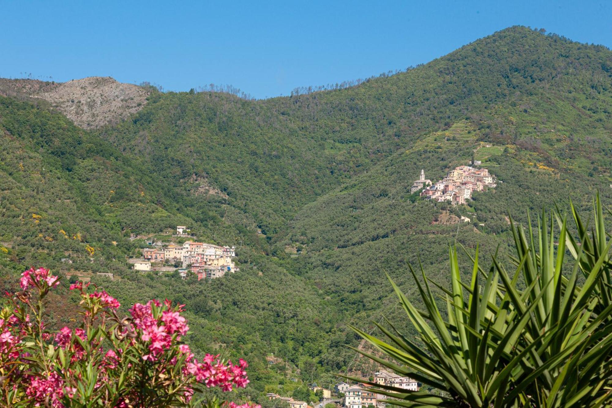Villa Dell'Erta - Levanto Montale  Buitenkant foto